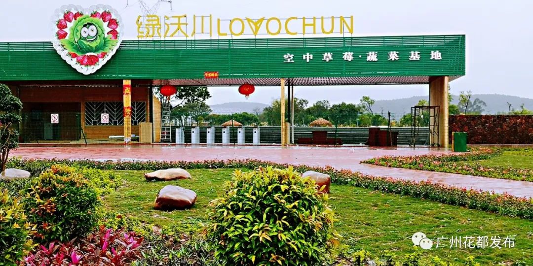 花都这些村超级棒！快来助力！