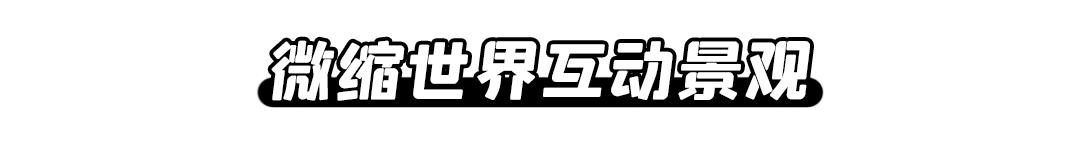 乘风破浪的姐姐们入场,乘风破浪的姐姐们齐现身