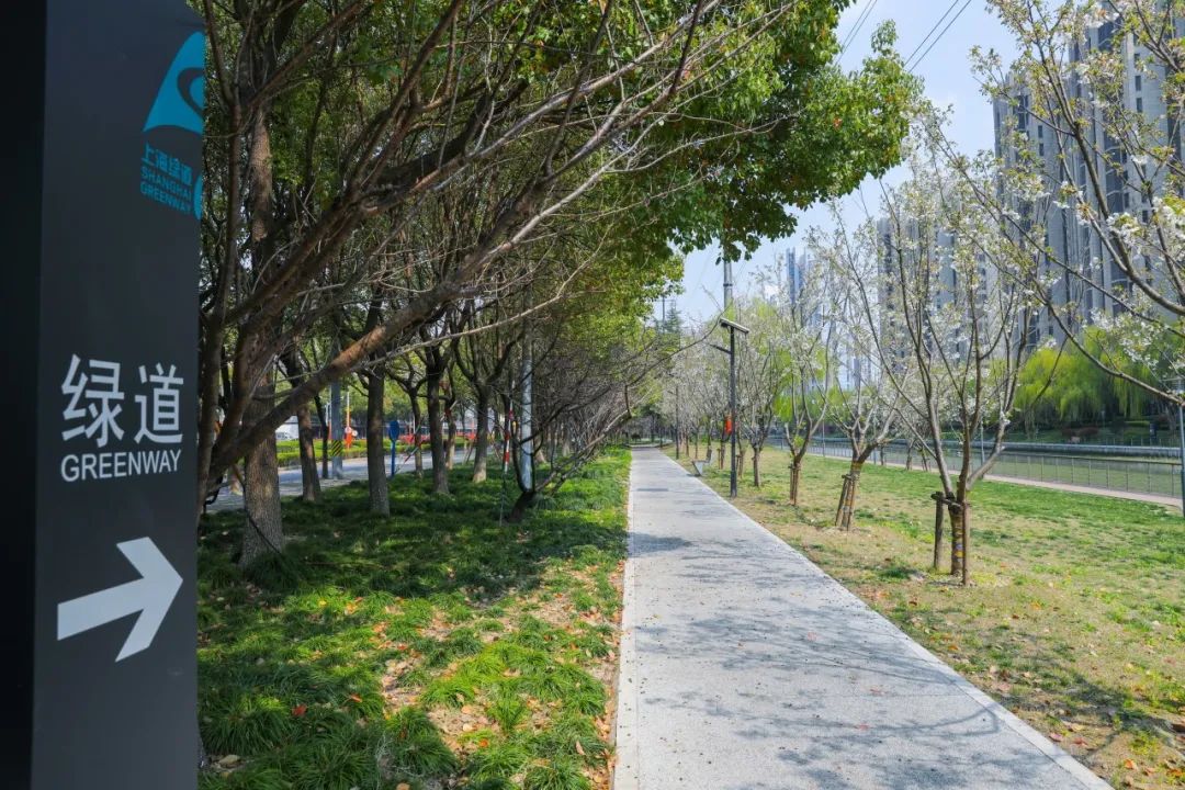 人均体育场地规划面积,人均健身场地