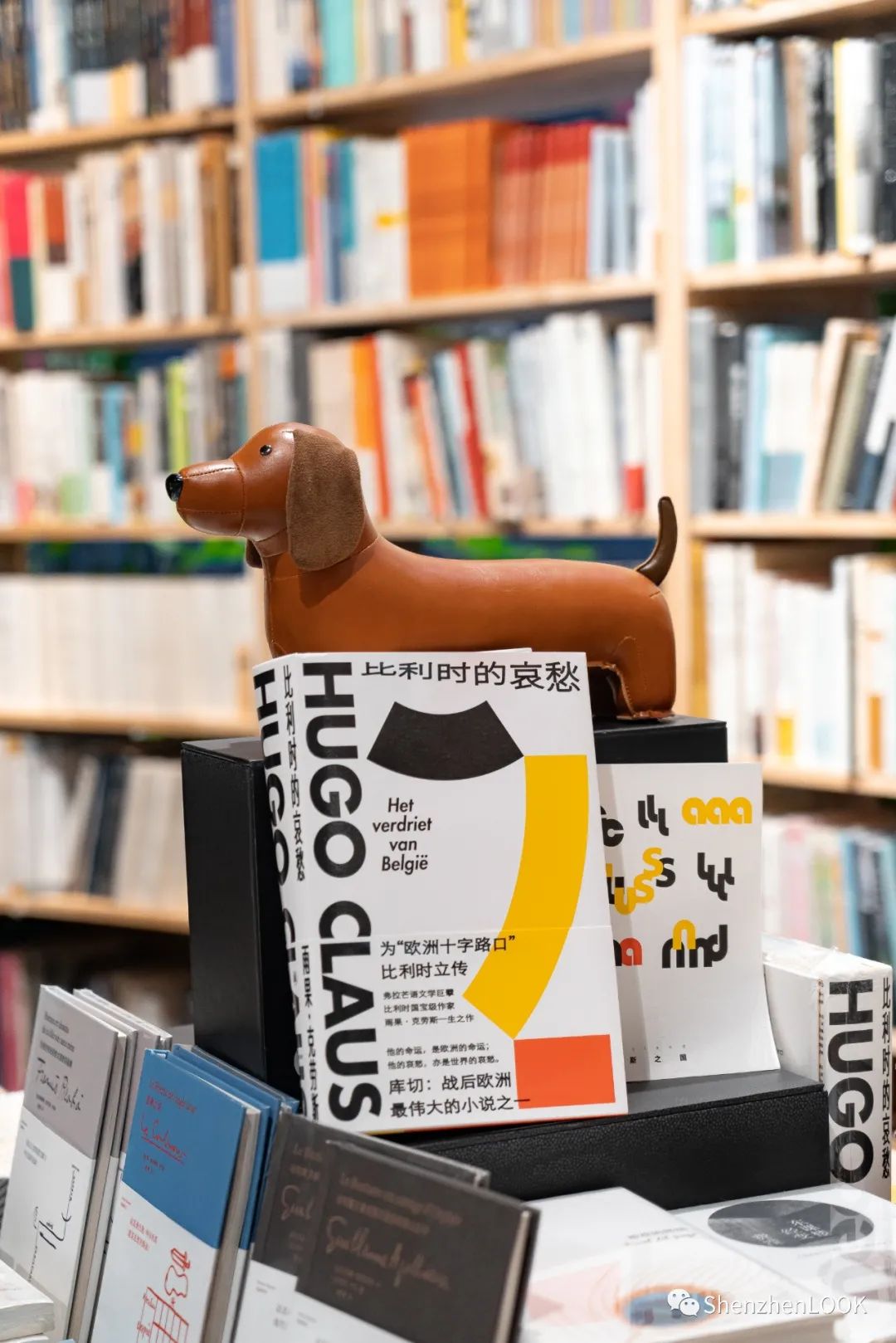 LOOK|欢乐海岸·第9年