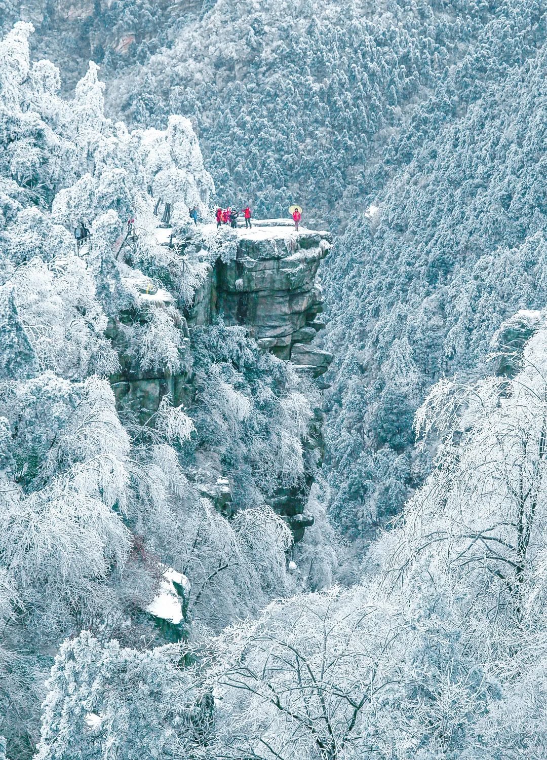 庐山真面目怎么辨别,庐山真面目近义词