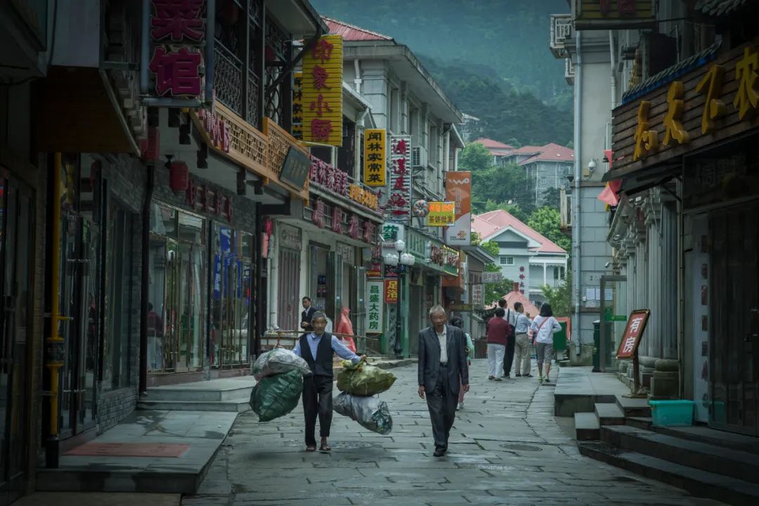 庐山真面目怎么辨别,庐山真面目近义词