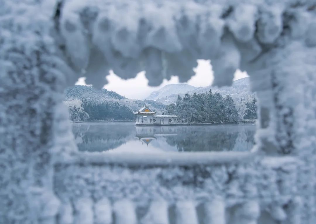 庐山真面目怎么辨别,庐山真面目近义词