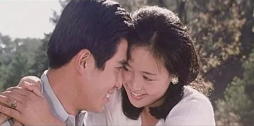 庐山真面目怎么辨别,庐山真面目近义词