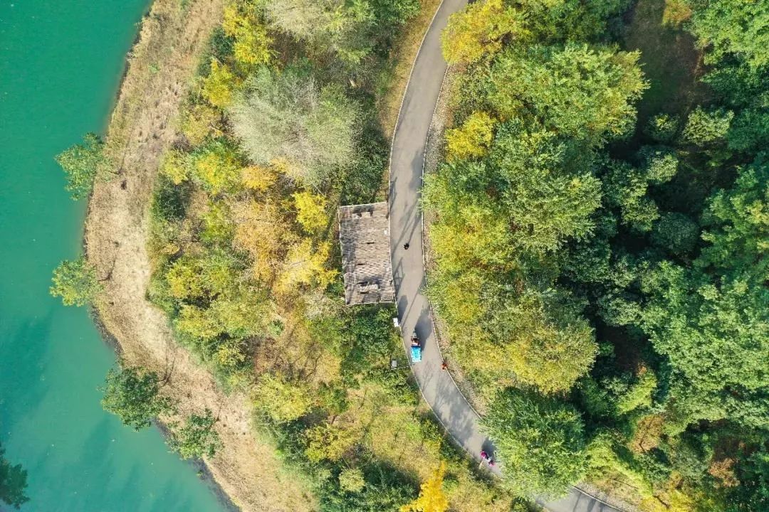 成都免费游玩景点推荐,成都景点免费门票一览表