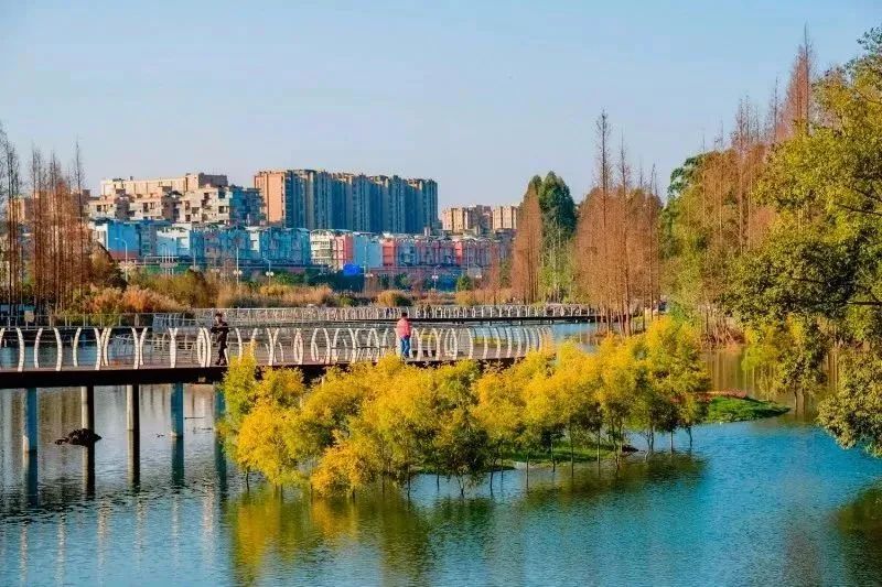 成都免费游玩景点推荐,成都景点免费门票一览表