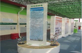 清凉一夏避暑溜娃好去处,上海遛娃推荐夏日避暑好去处