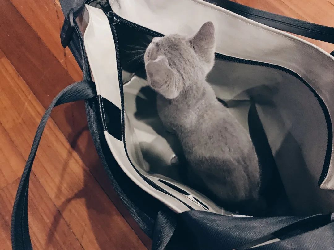 都说男人就是要大包，布耀廉到底谁大包