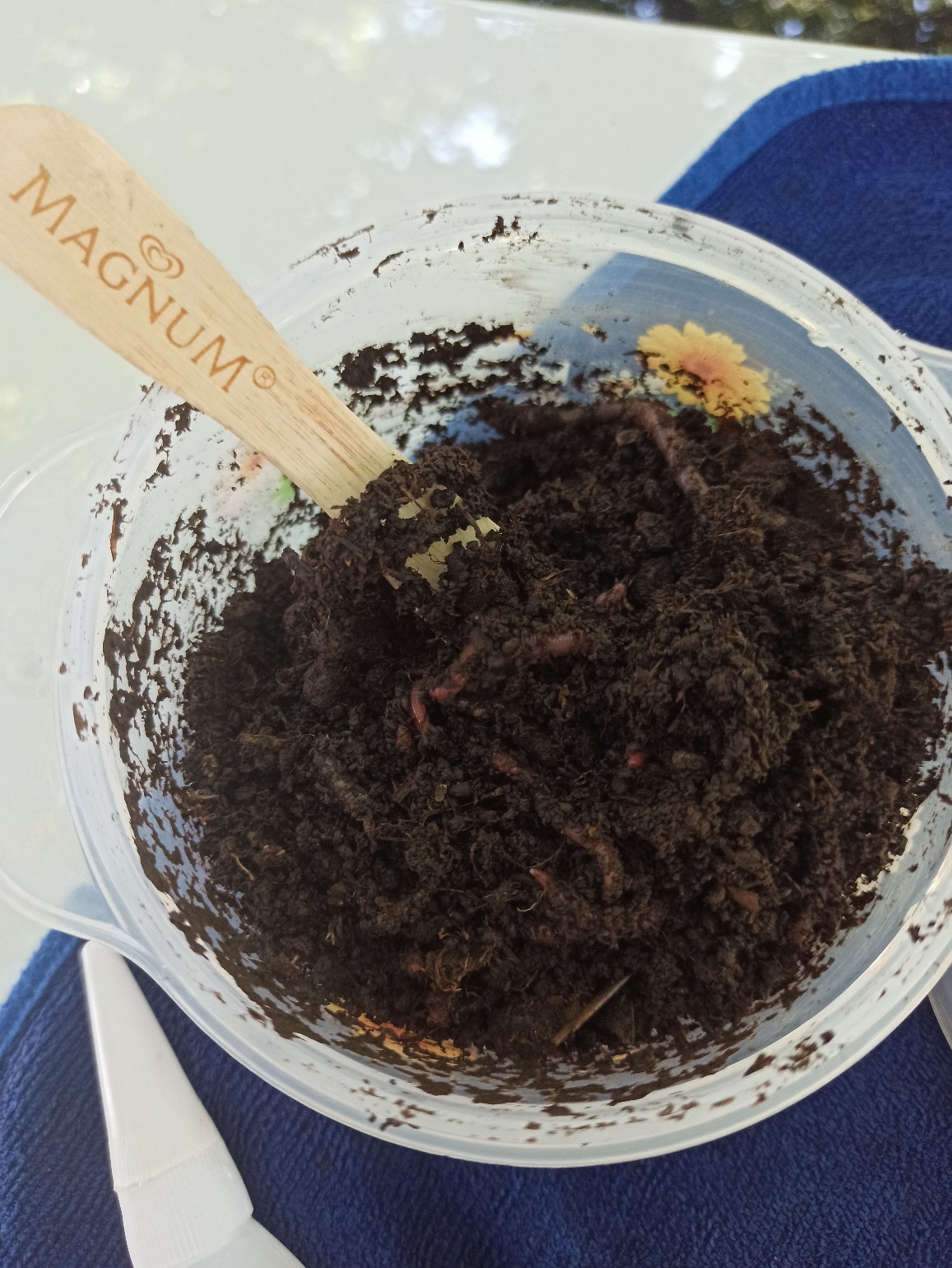 用废弃盒子做蚯蚓盒,手工做蚯蚓盒