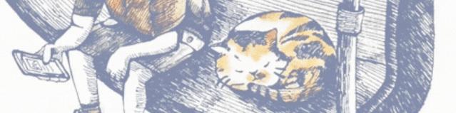 网友称被拼多多app远程删照片,拼多多被质疑远程删除照片