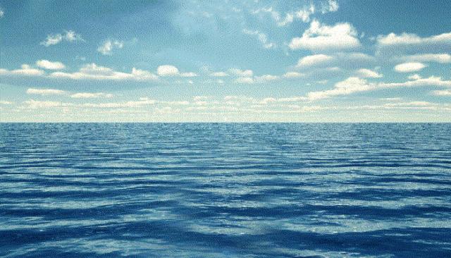 海洋护肤成分,深海植物护肤精粹