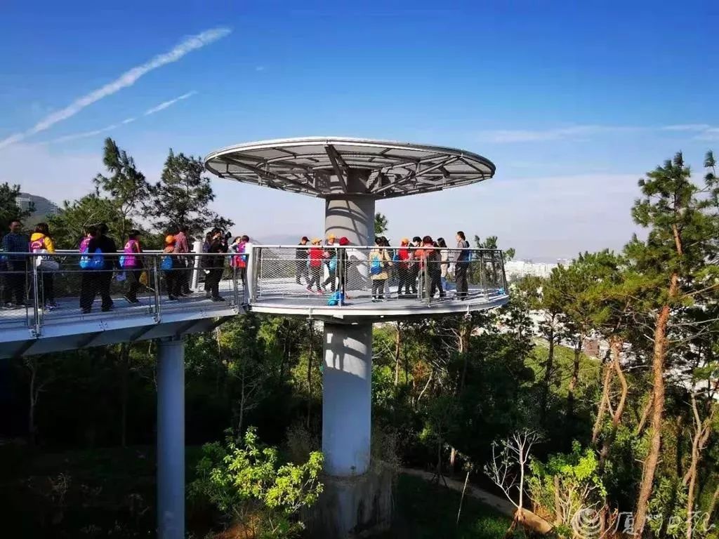 厦门旅游出行最详细攻略,玩转厦门自驾游的必备攻略