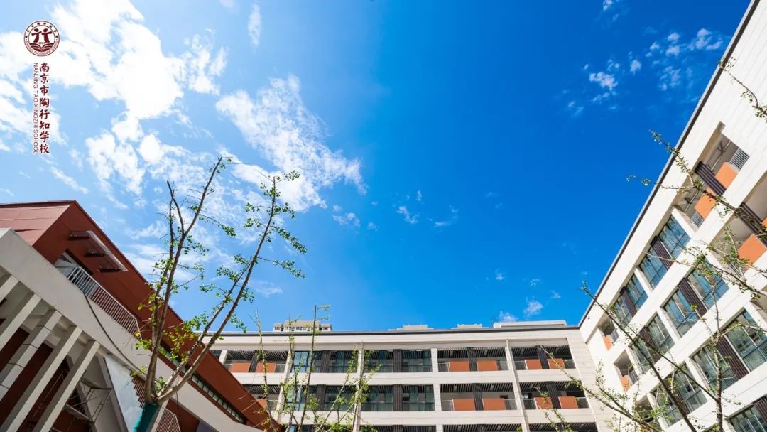 陶行知会议,陶行知所办学校