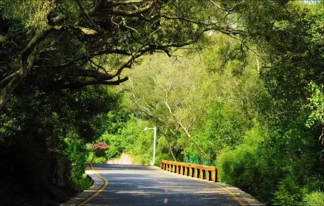 爬厦门仙灵棋山看日出,厦门周边登高望远的地方