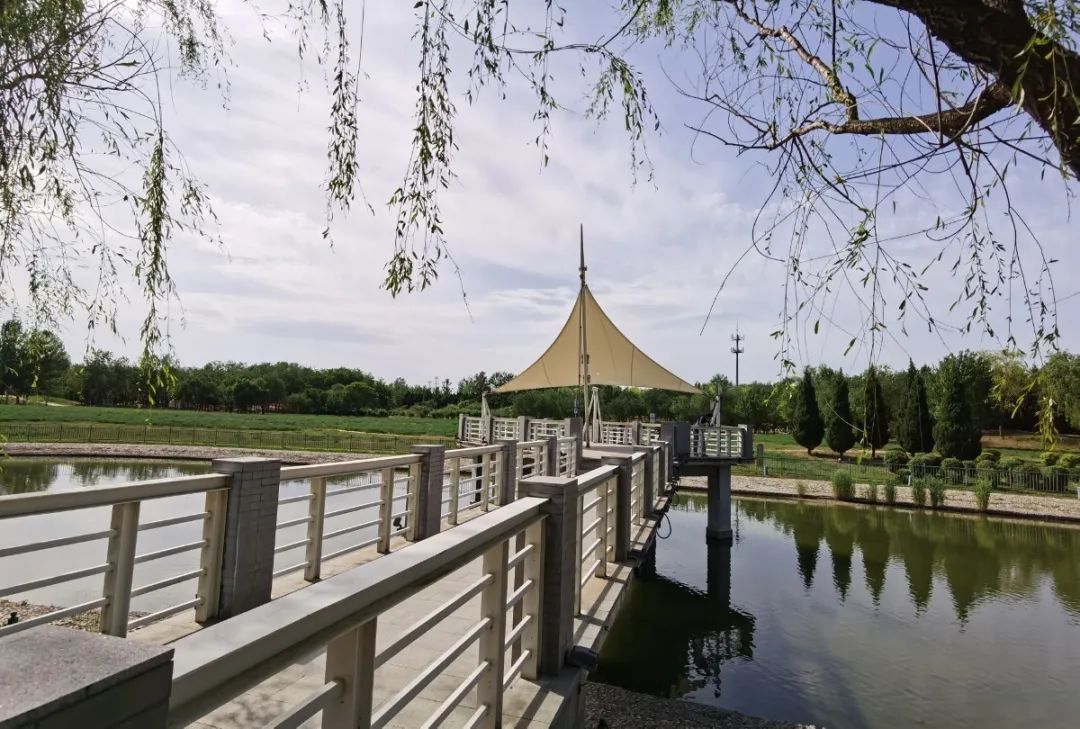 漫游新城|文化荟萃，景色怡人，在这里尽享公园慢时光