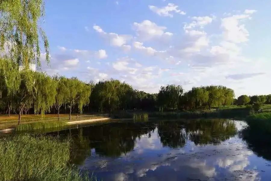 漫游古城享受惬意时光,感受大自然的气息和美景逛新城