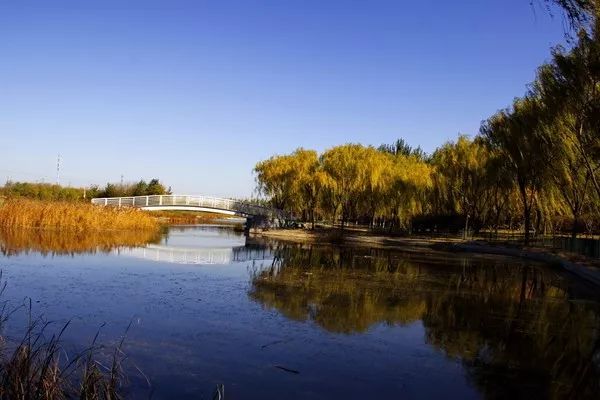 亦庄必打卡,亦庄拍照打卡好看的店