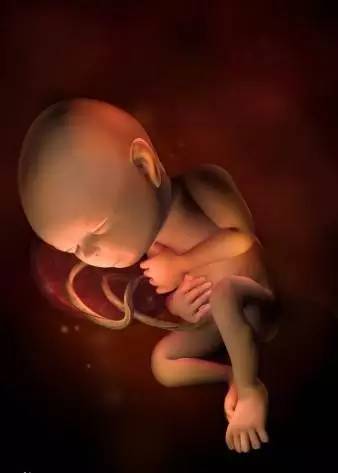 胎儿在子宫里是粘在子宫吗,宝宝在肚子里会无聊不