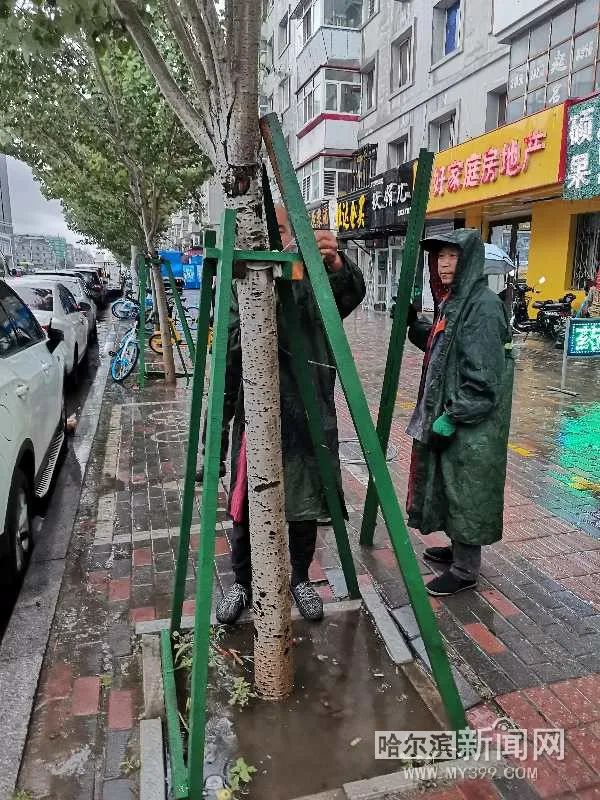 “巴威”到哈即“停编”，但是暴雨没完丨有站点累计降水量超70毫米