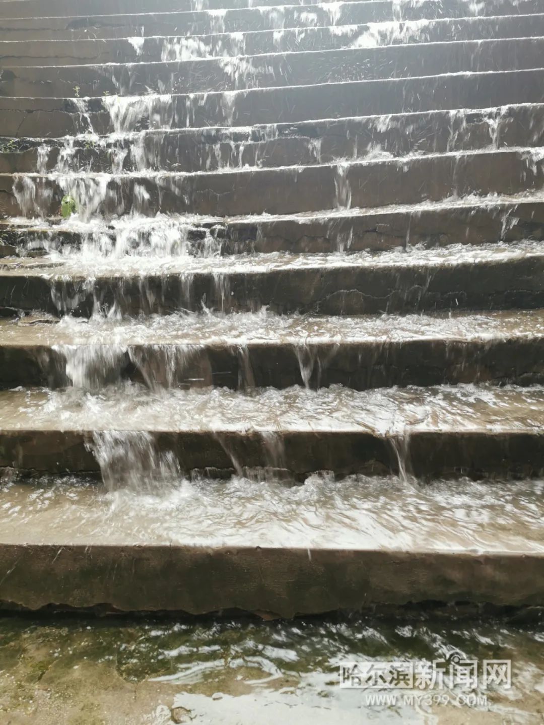 “巴威”到哈即“停编”,但是暴雨没完丨有站点累计降水量超70毫米