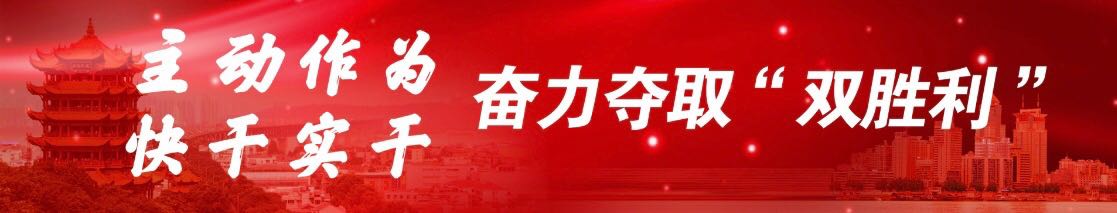 武汉足球体育比赛,踢快乐足球