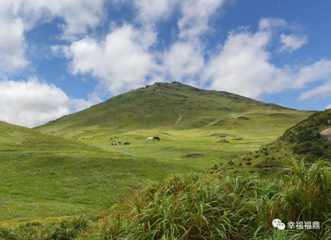 普陀山网红海景民宿推荐,普陀山岛上民宿客栈推荐