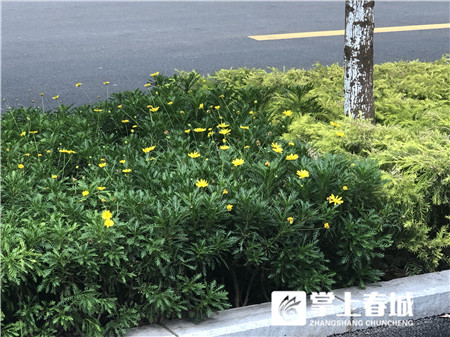 小掌探路记｜昌源路、海源路沿途美景如画