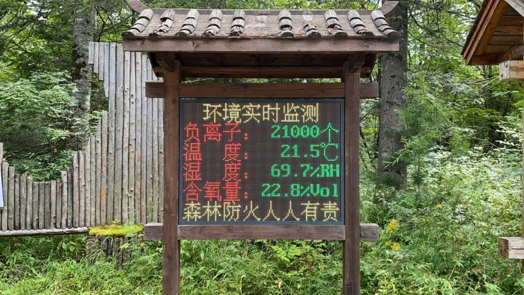 去长白山哪家酒店度假最好,长白山最佳观景酒店