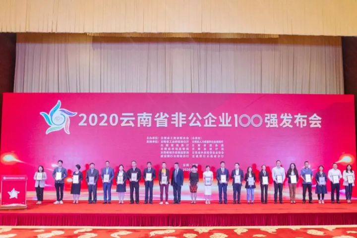云南2024年非公企业百强,2019云南省非公企业100强