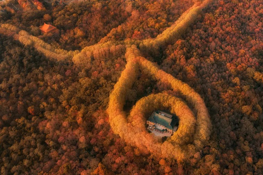 跨越千山万水只为遇见你歌曲,跨越千山万水只为追寻