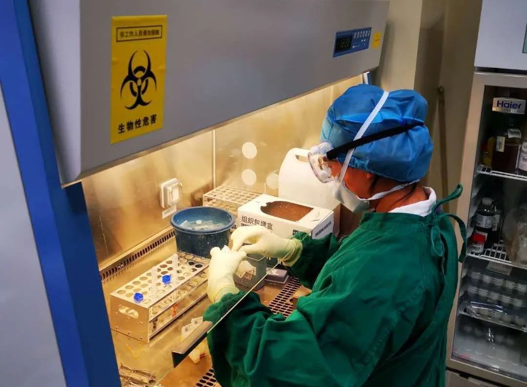 您可知医院里的“技师”？！