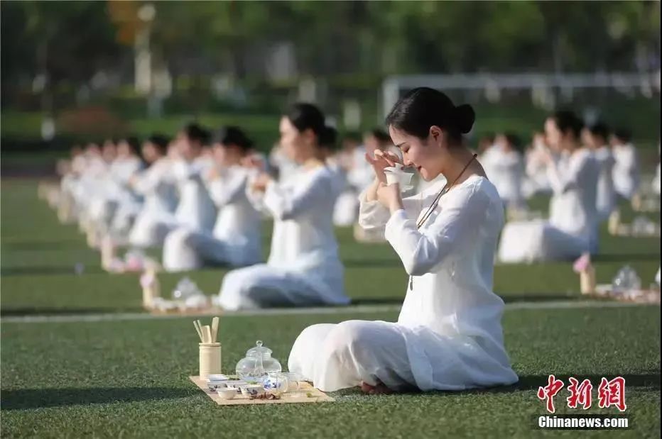 今日白露美句美文,今日白露完整版歌