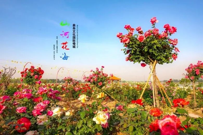 教师的所有福利,过年学校给老师准备什么福利