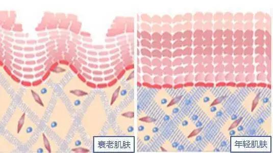 小茂面霜哪个好用,小茂推荐的护肤品