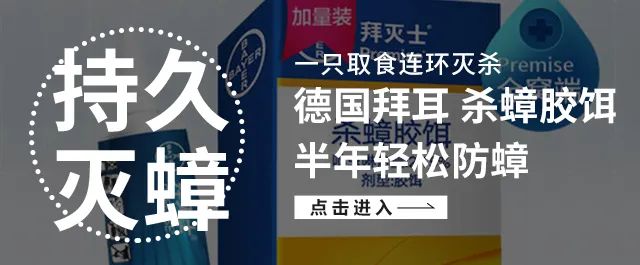 让蟑螂来一只死一窝的方法,蟑螂克星一窝端