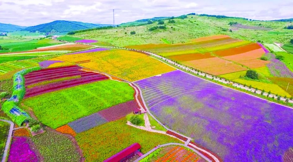 【比比谁更红】“吉林银行杯”首届延边“网红打卡”活动—网红打卡地