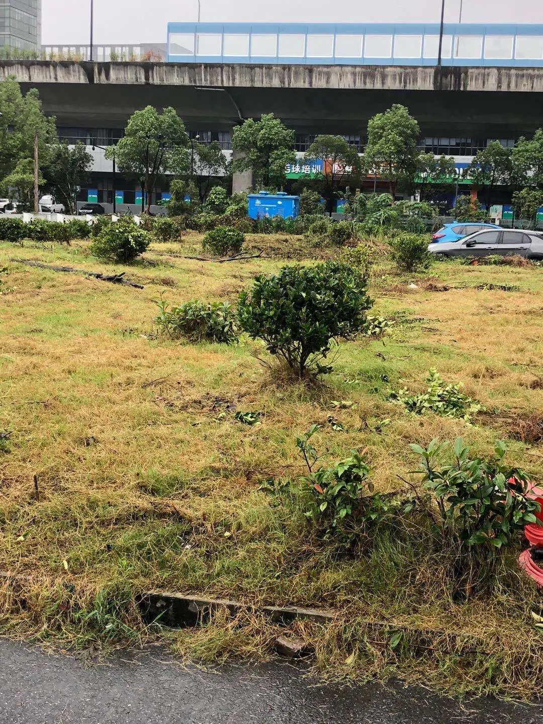 欠收拾图片,宝宝欠收拾