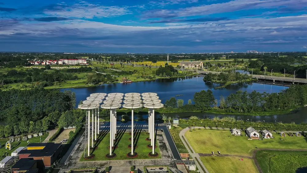 果实圆熟之秋,百万流量主播带你走进新津