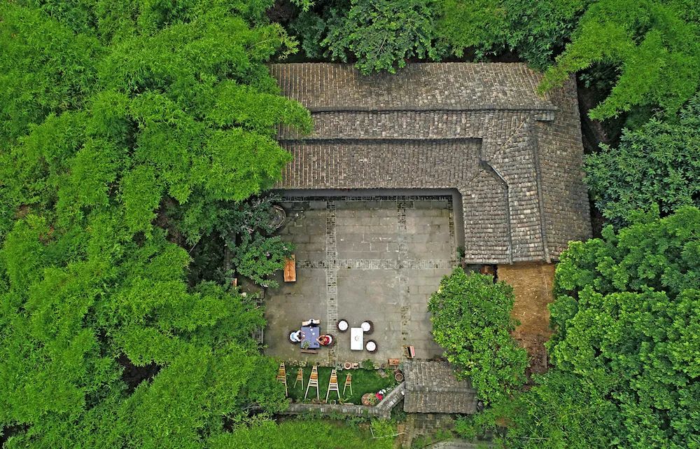 果实圆熟之秋,百万流量主播带你走进新津