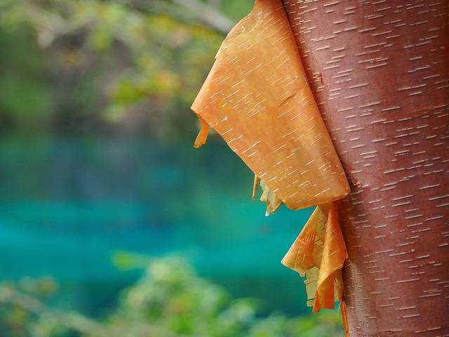 初秋，与神话九寨的浪漫之约