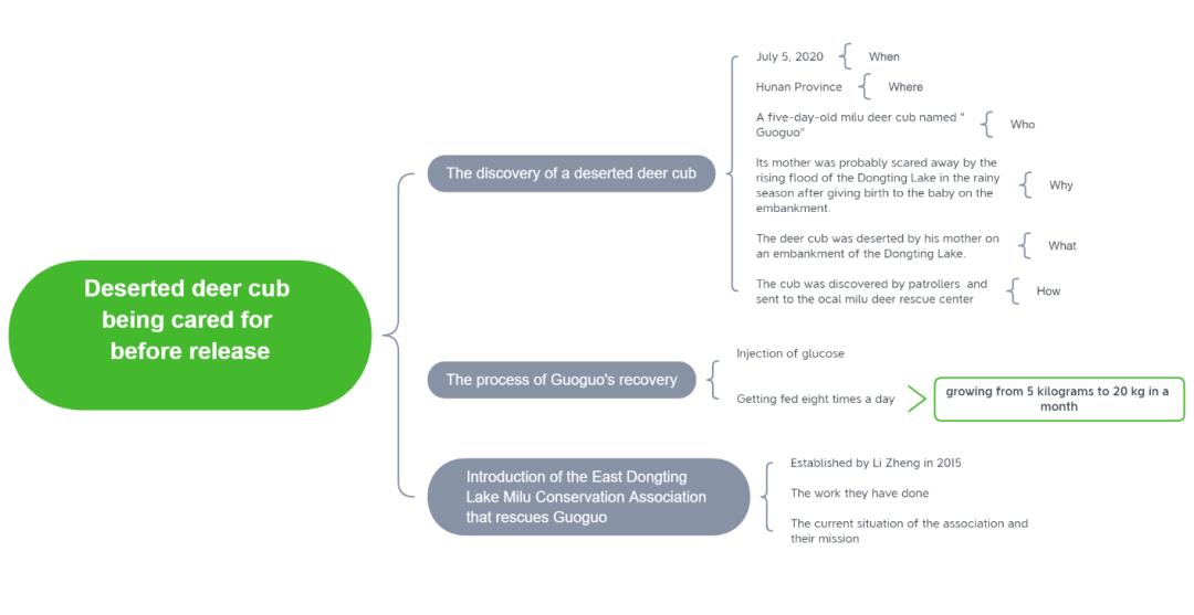 五步阅读理解法,五步精读法帮你读懂
