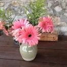 一堂拯救股民的公开课,拯救30万股民