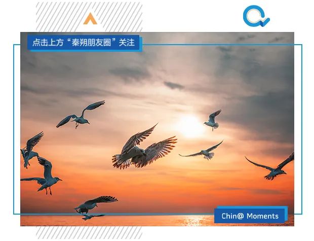 浼佷笟濡備綍鎴愪负鍗庝綇浼佷笟閾傞噾浼氬憳,浼佷笟鍗庝綇