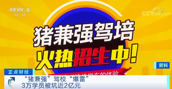 驾校猪兼强事件,猪兼强驾校事件如何解决