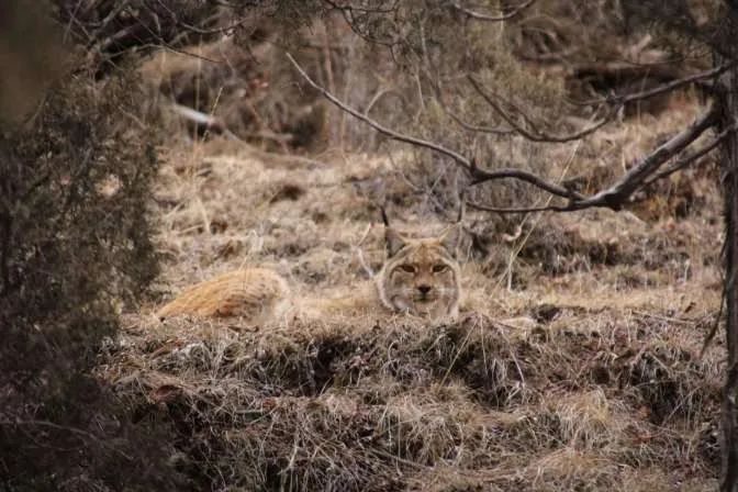 别去挤景点了！生态旅游了解一下