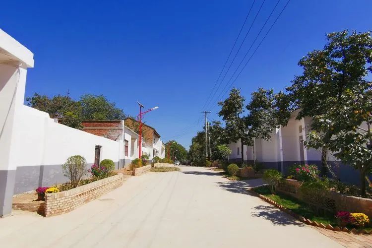 阎良区最美乡村,阎良最美风景区