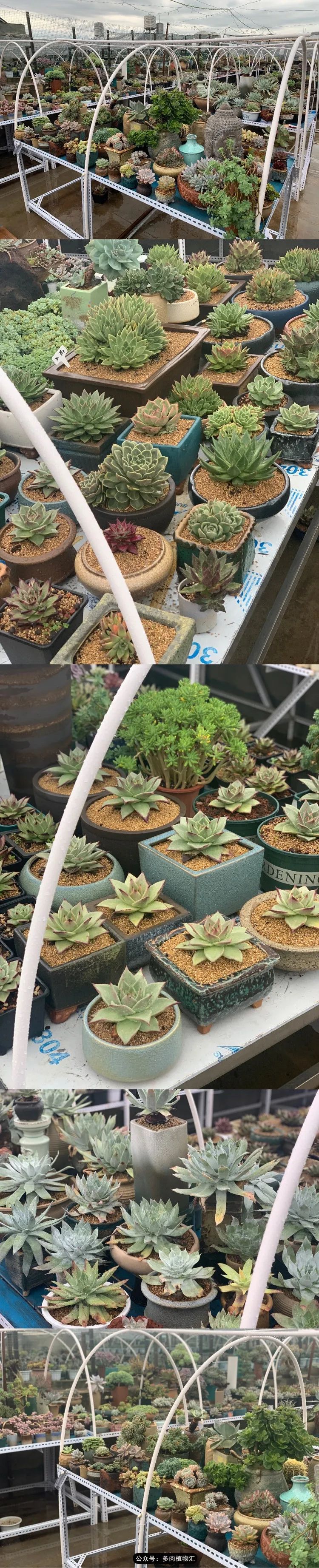 浠庝簯鍗楄繃鏉ュ箍涓滅殑澶氳倝,閬囪澶氳倝鎰熸仼鐢熷懡涓墍鏈夌殑鐩歌瘑