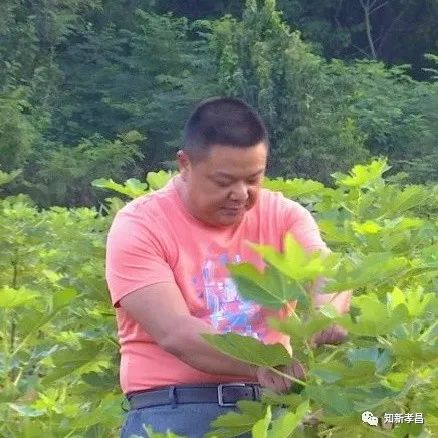 嘿，“糖包子”的故事你听过吗？