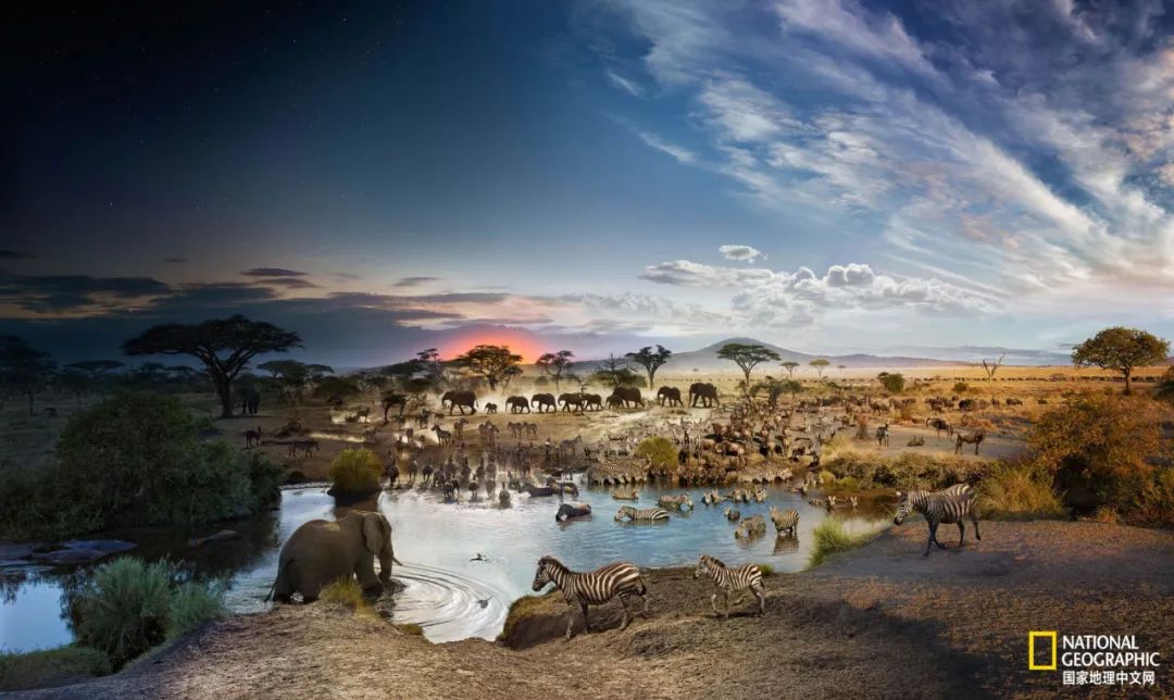 来，我们斗胆聊一下出国怎么玩