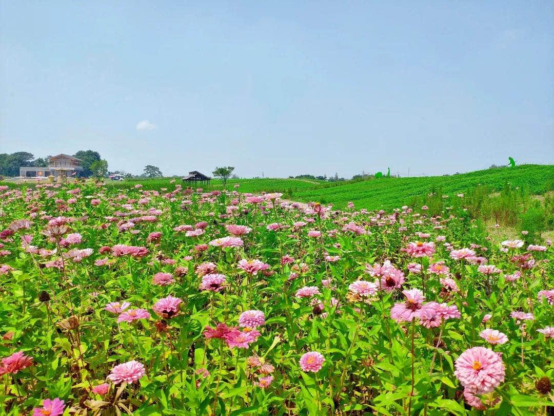 江宁周末能玩一天的地方,国庆假期到哪玩在江宁区内